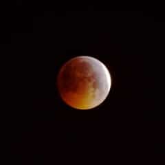 5h30 : éclipse de Lune - Rambouillet - 21-01-2019 © Georges Saccomani