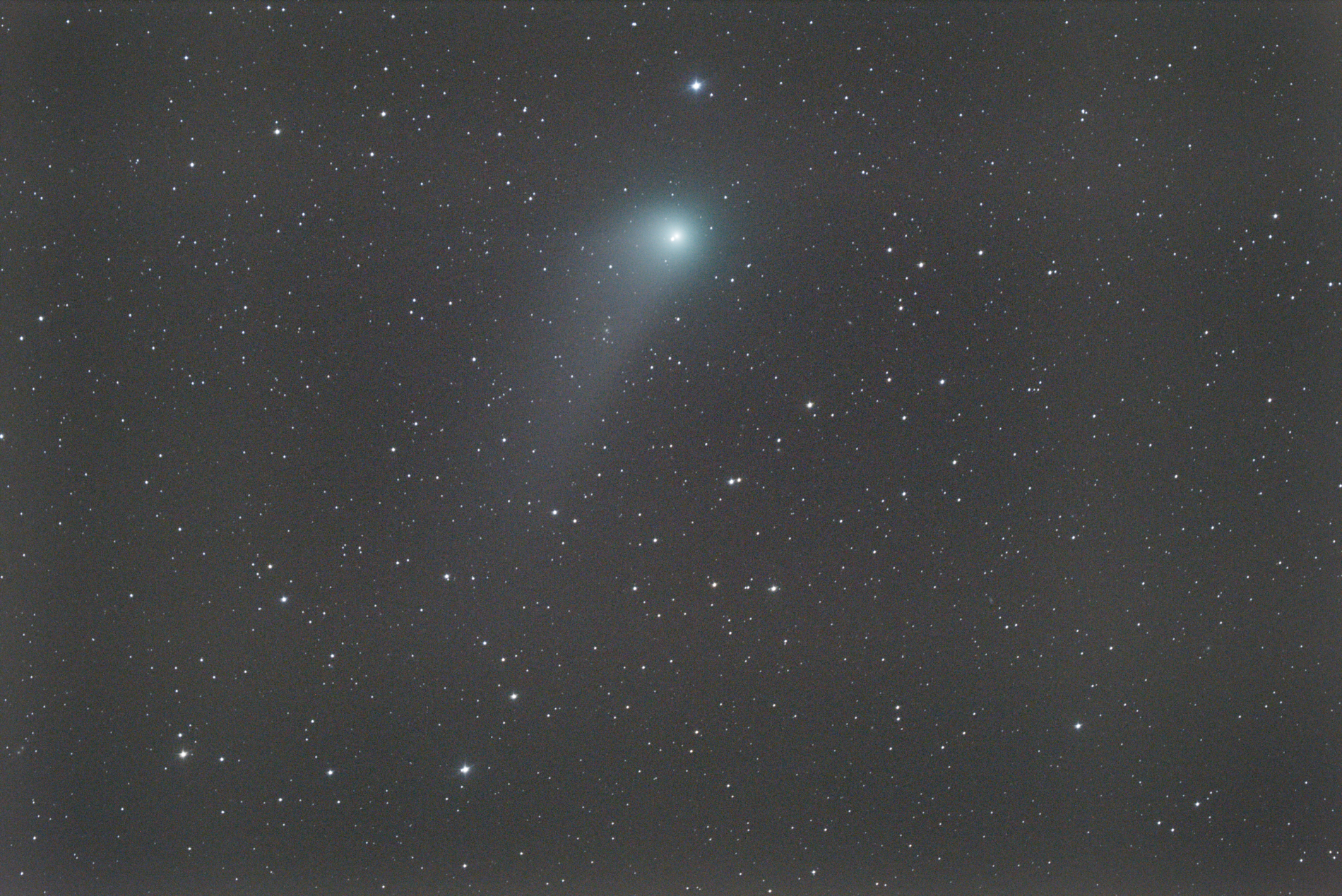 C/2013 US10 (Catalina)