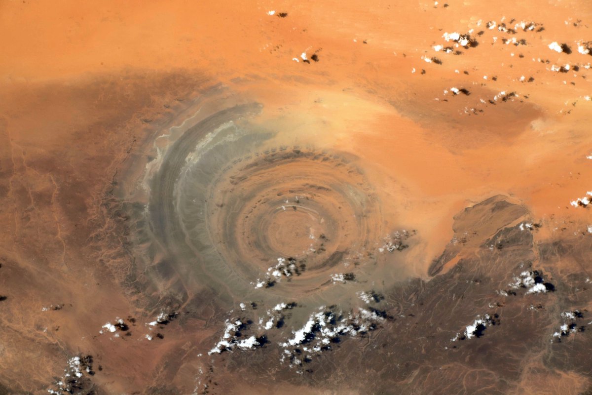 Oeil Afrique Alpha